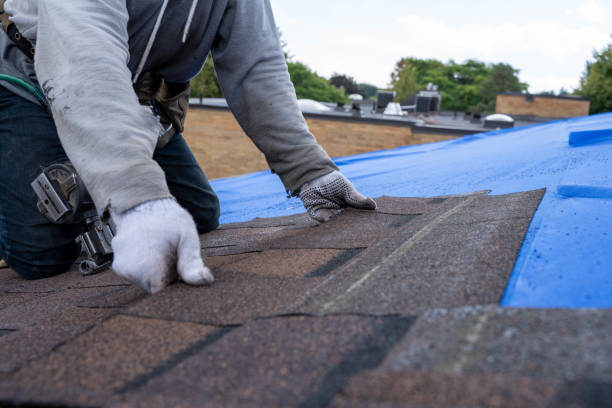 Best Roof Maintenance Services  in Roessleville, NY